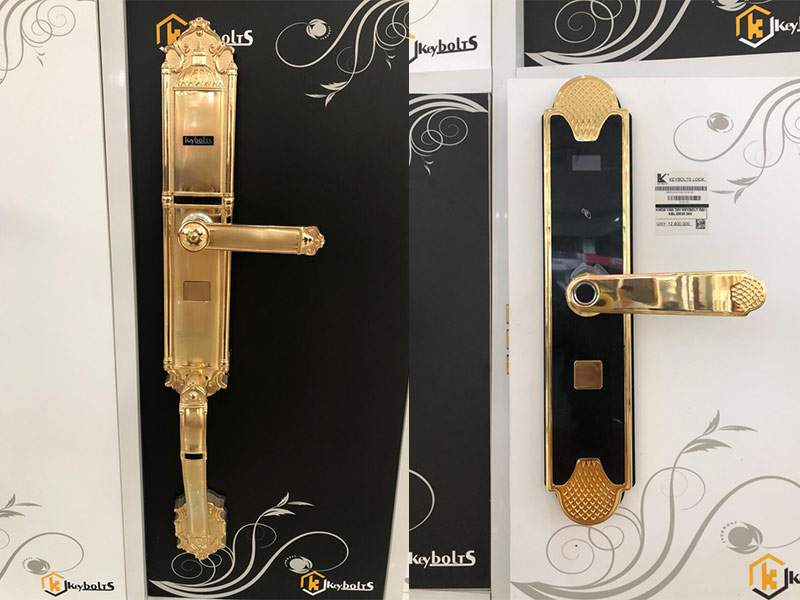 KHÓA VÂN TAY THẺ TỪ KEYBOLTS - THAILANDS